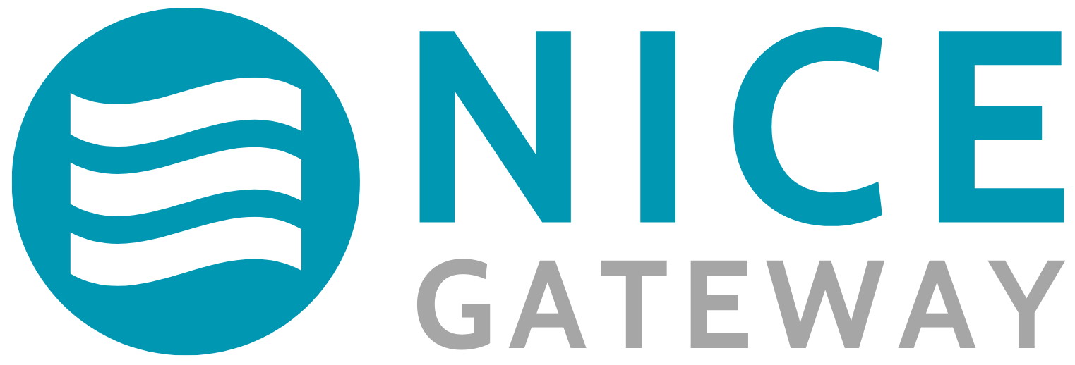 nicegateway.com